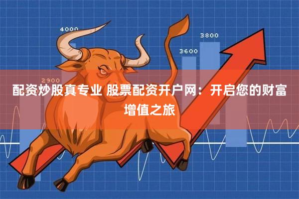 配资炒股真专业 股票配资开户网：开启您的财富增值之旅