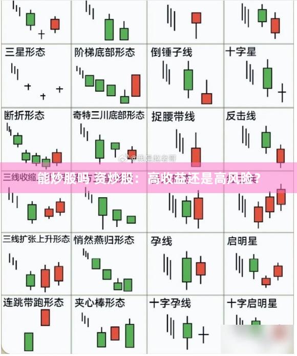 能炒股吗 资炒股：高收益还是高风险？